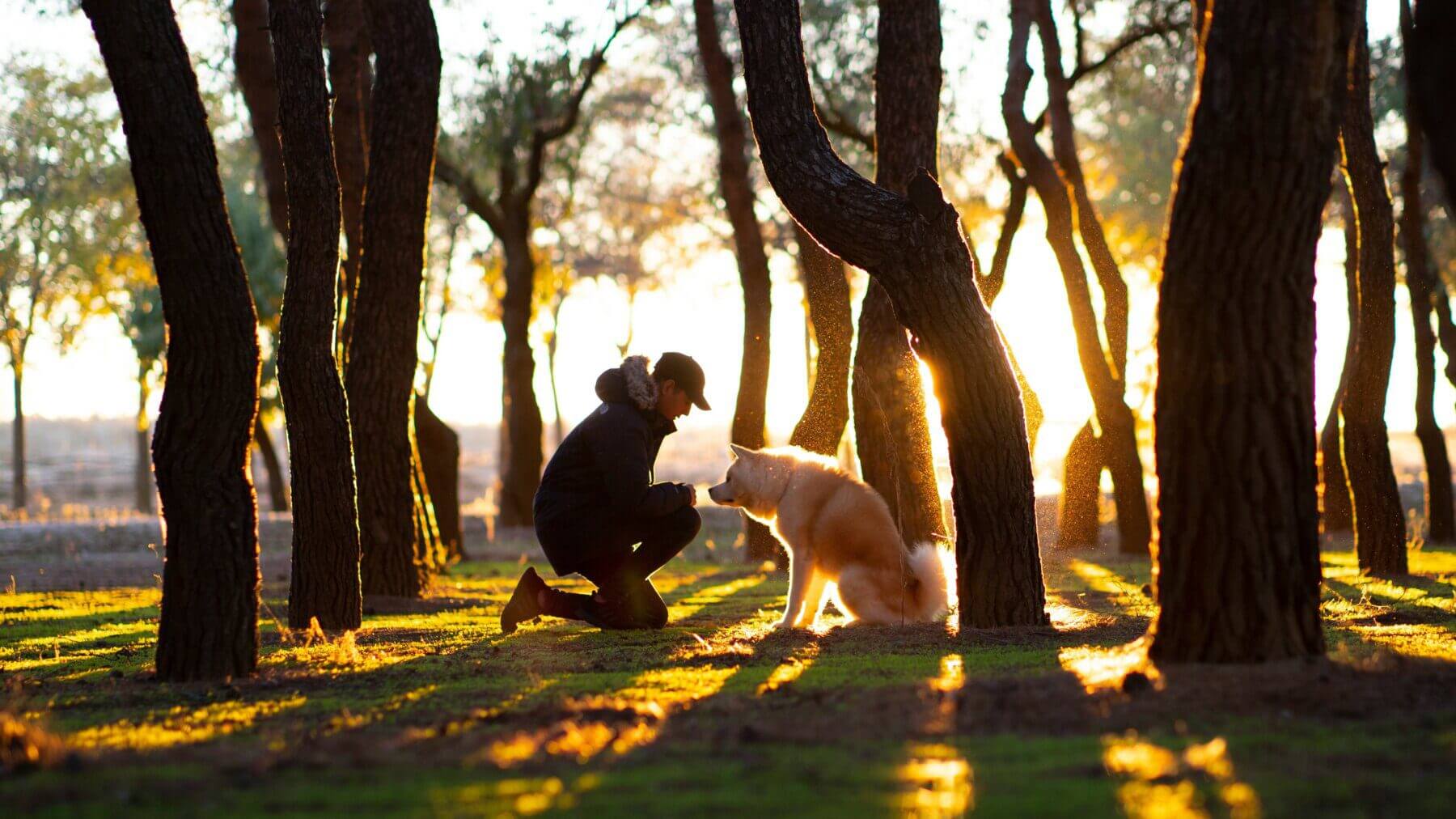 3 Self-Care Essentials for Firefighters