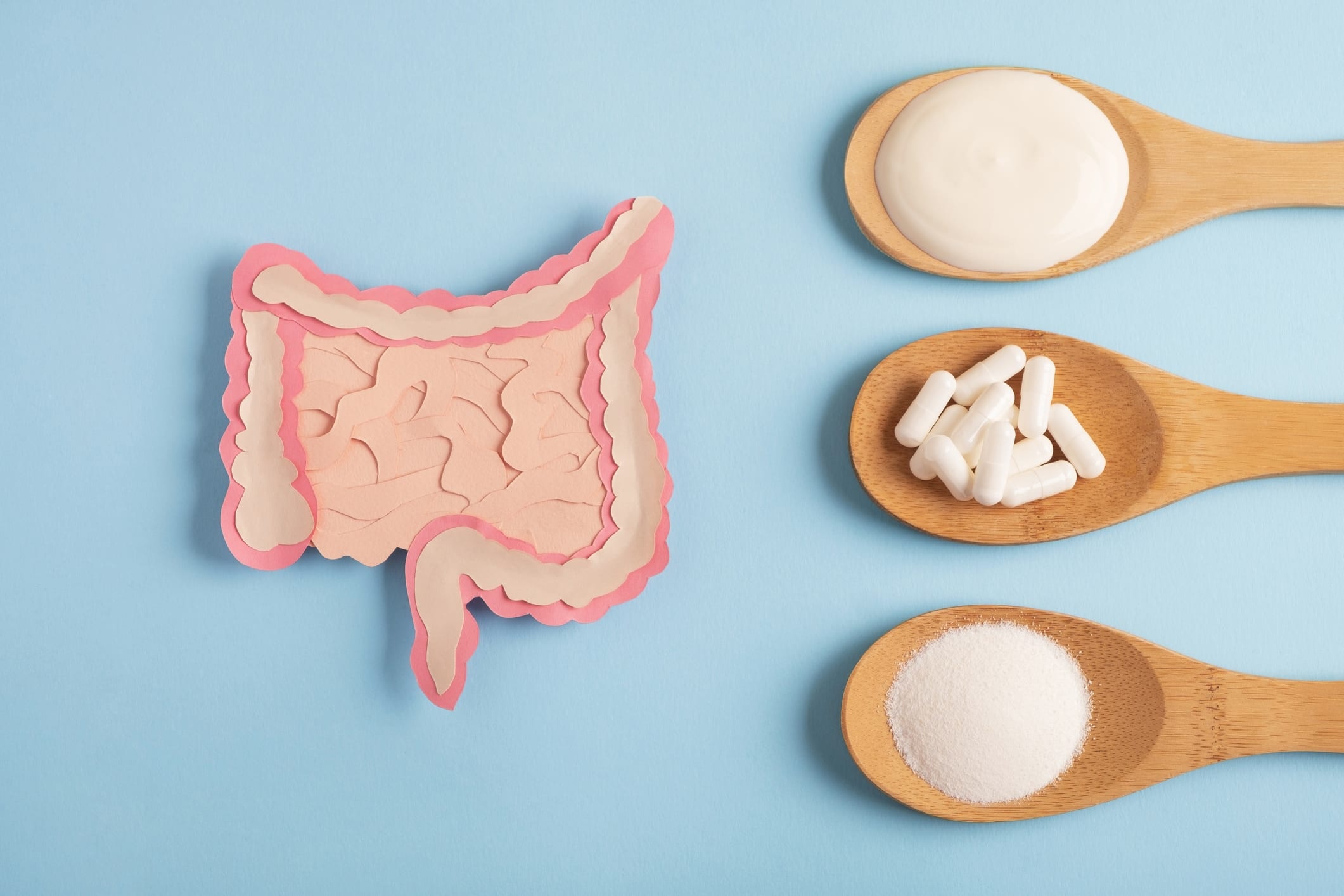 A Gut Feeling About Prebiotics