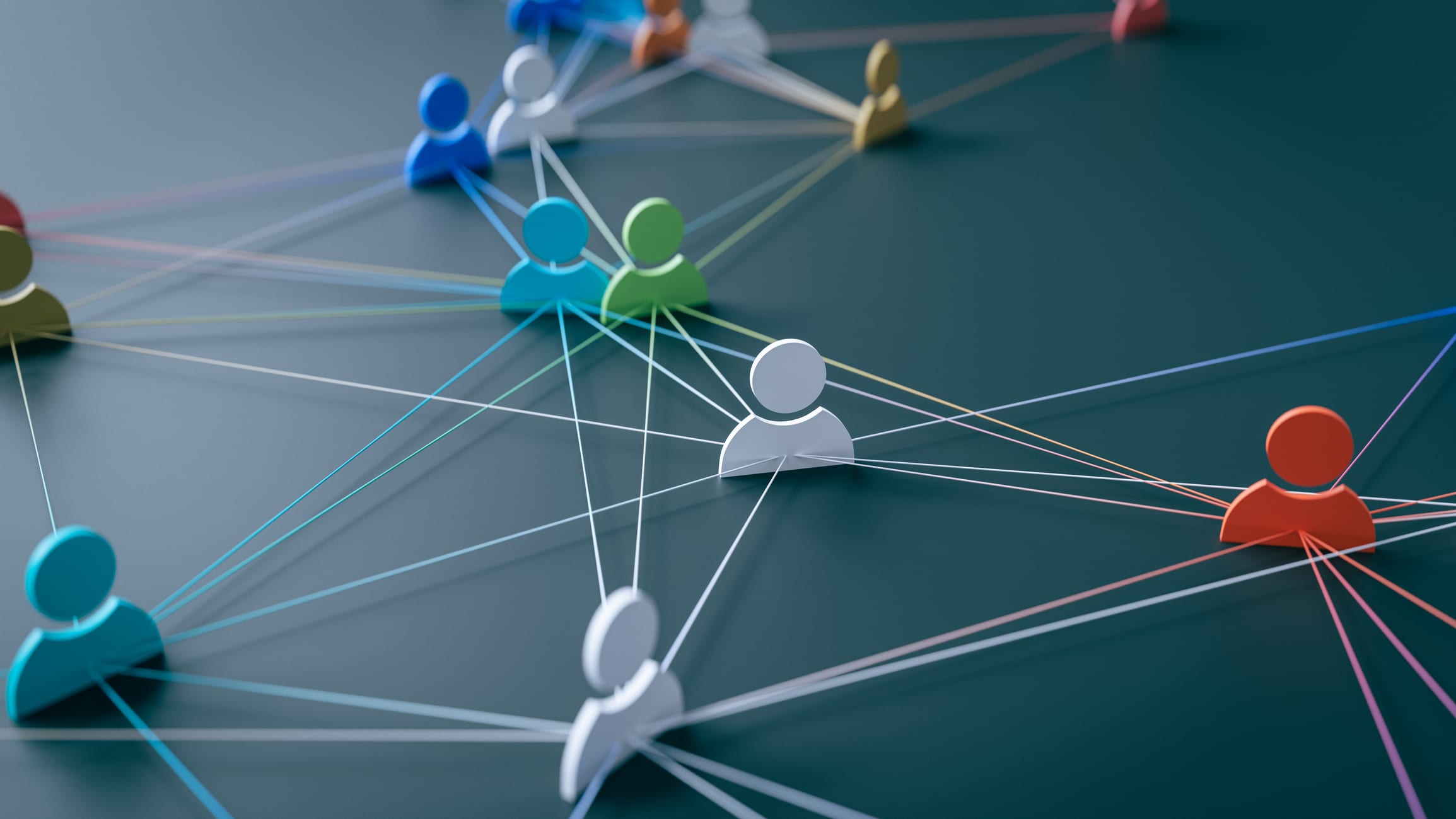 Build Your Network Now