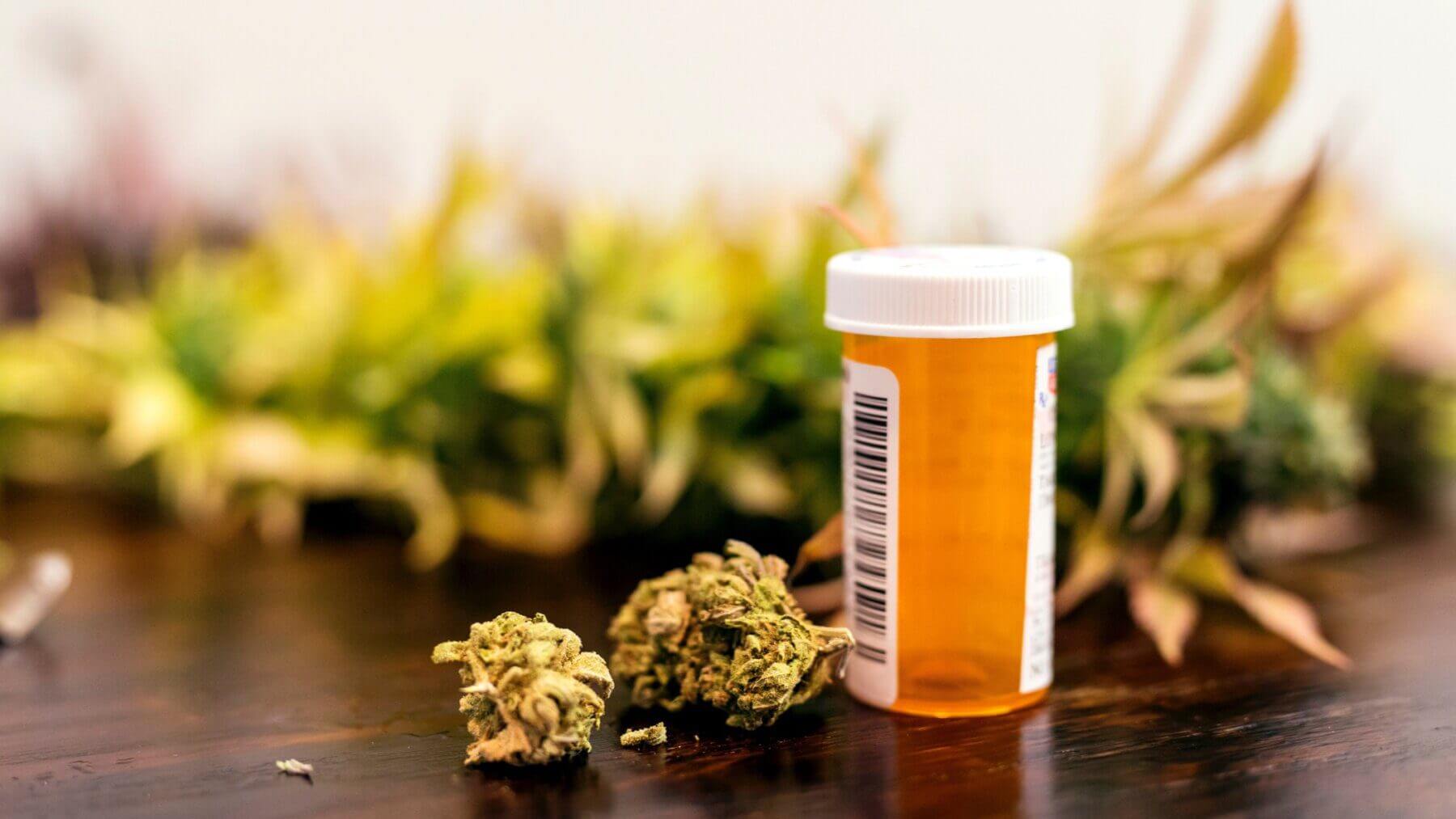 Do We Need a Culture Shift Towards Medicinal Cannabis?