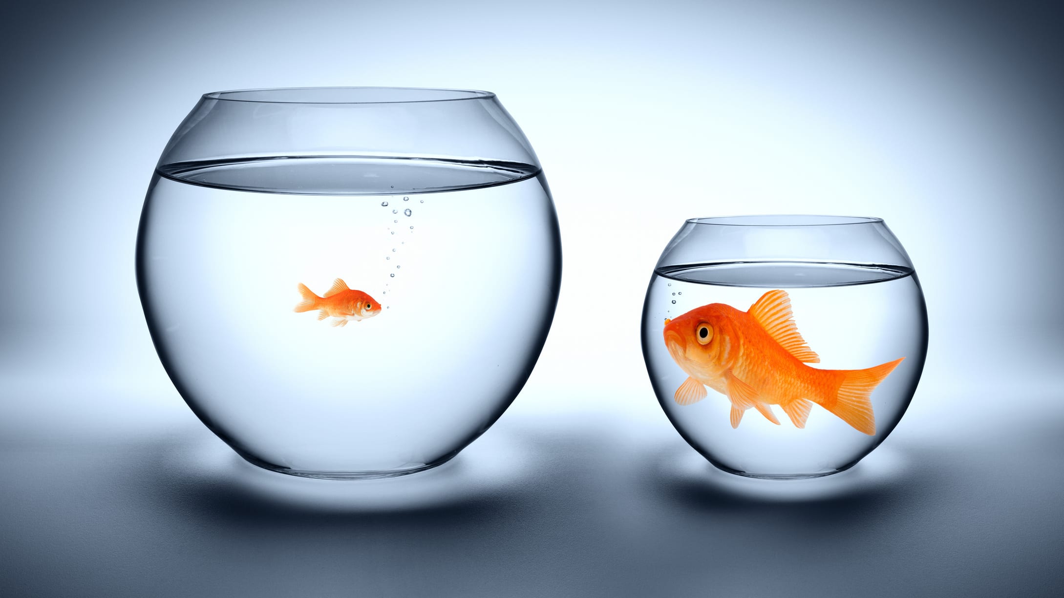 If You Weren't So Good, I Wouldn't Have to Be: The Illusion of Alignment