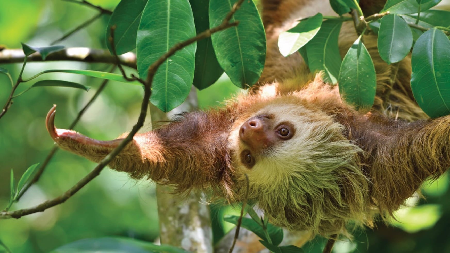 Into the Wilds in Costa Rica