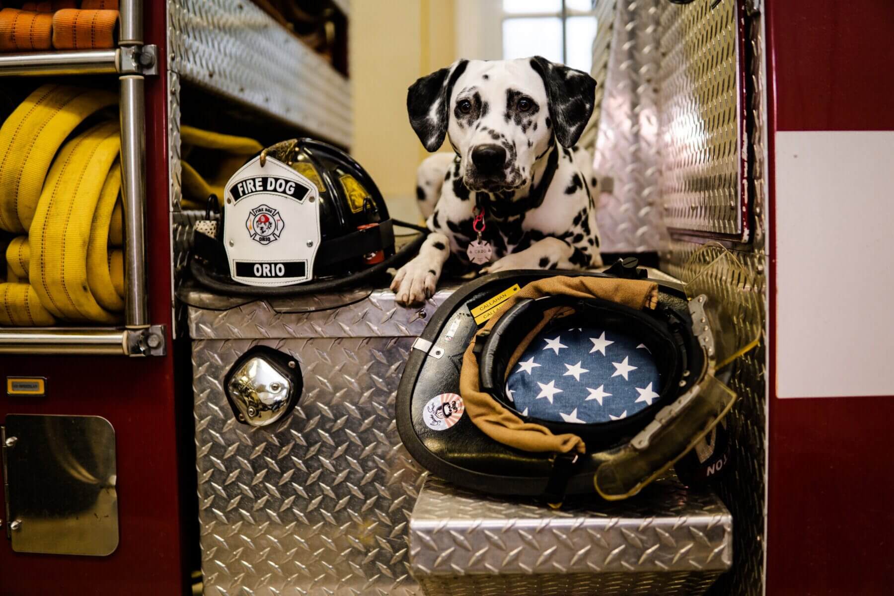 More than a Mascot