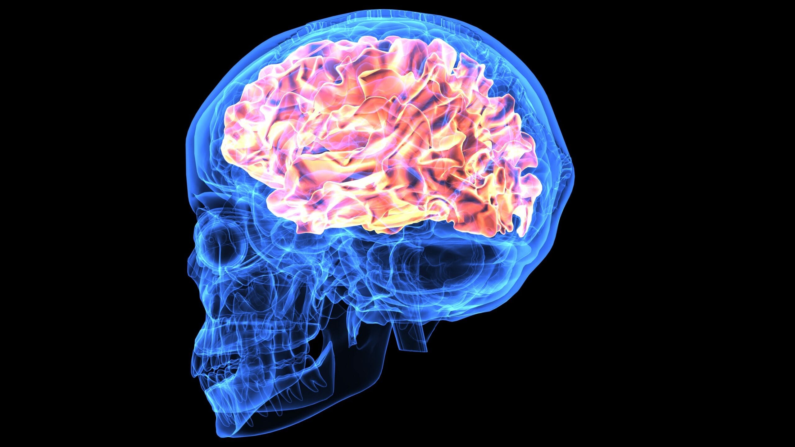 Re-Wire Your Brain's Response To Danger