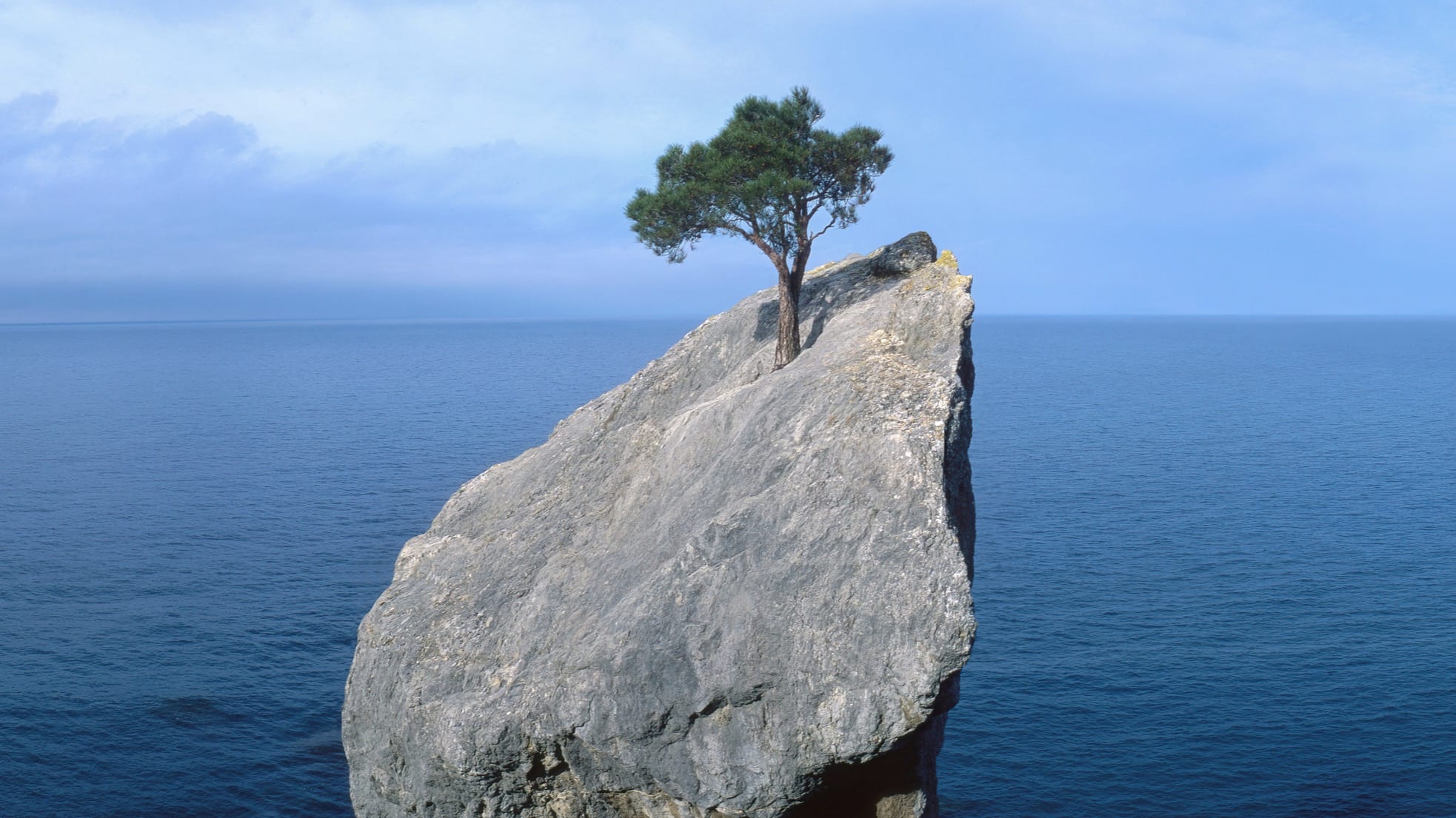 Resilience: The No. 1 Tool in Your Mental Health Equipment Bag