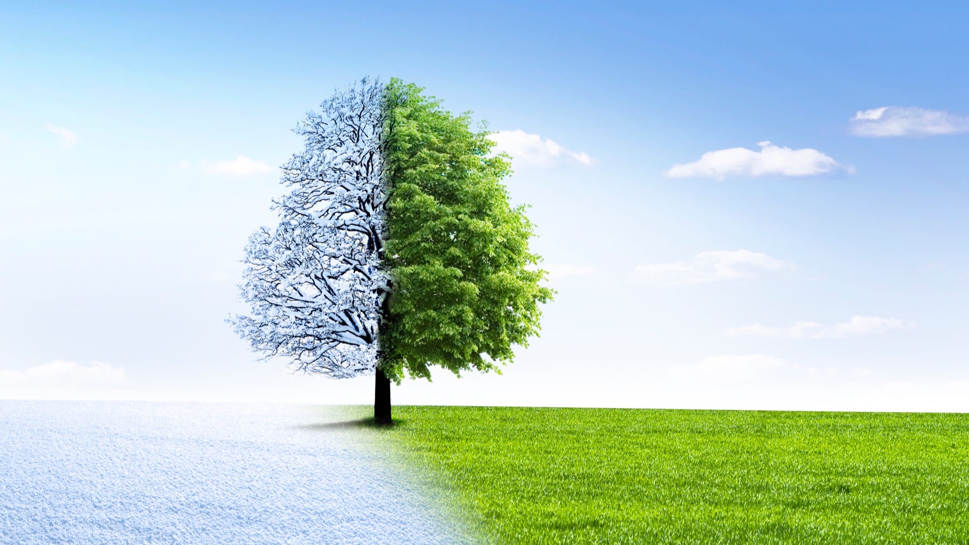 Retirement: The First Steps into a New Season