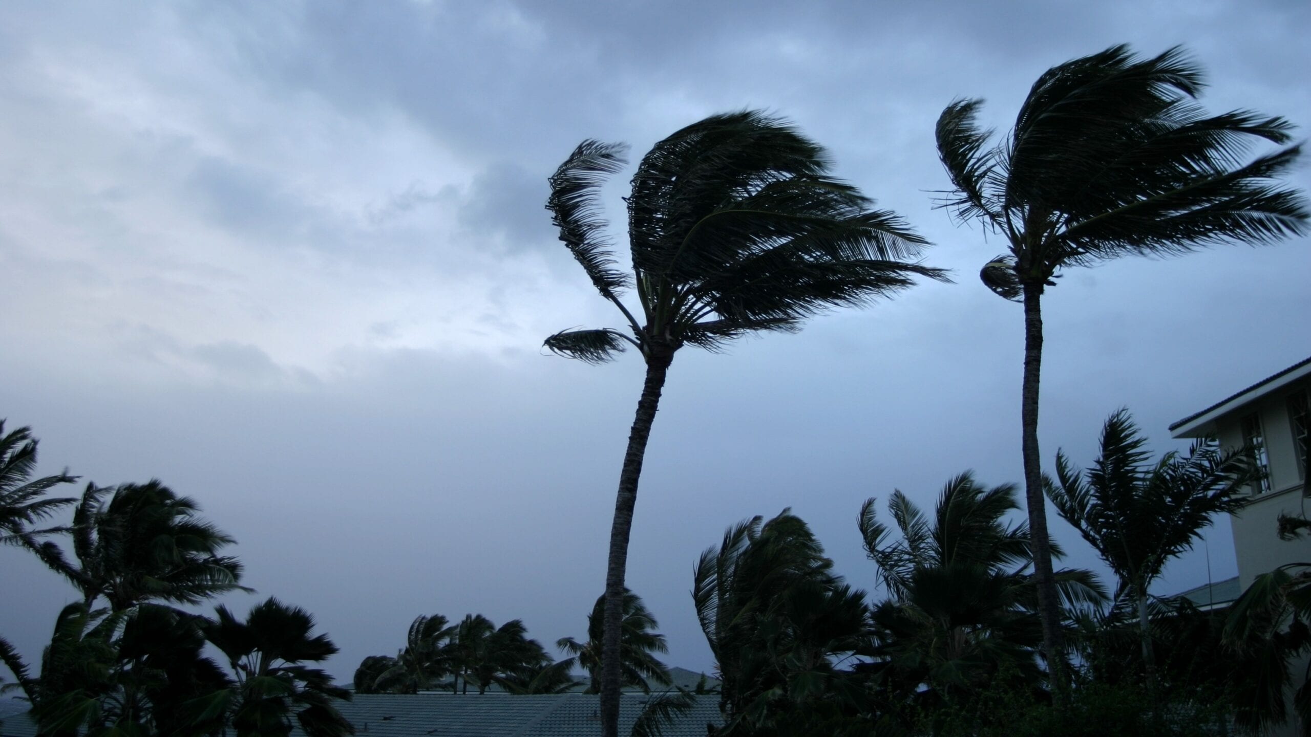The False Sense of Control: How Overplanning Can Paralyze You in Crisis