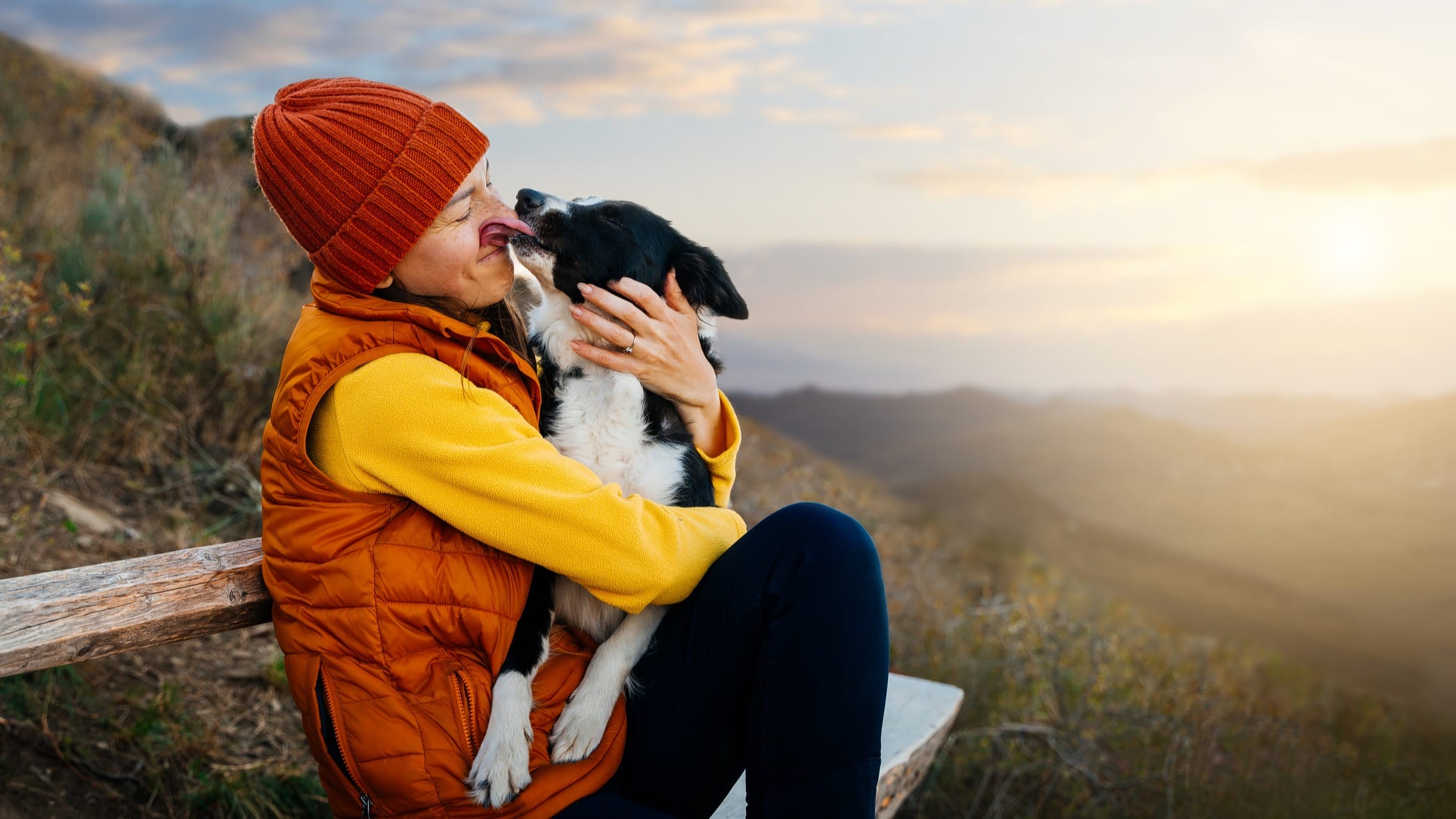 The Role of Emotional Support Animals in Firefighter Mental Health