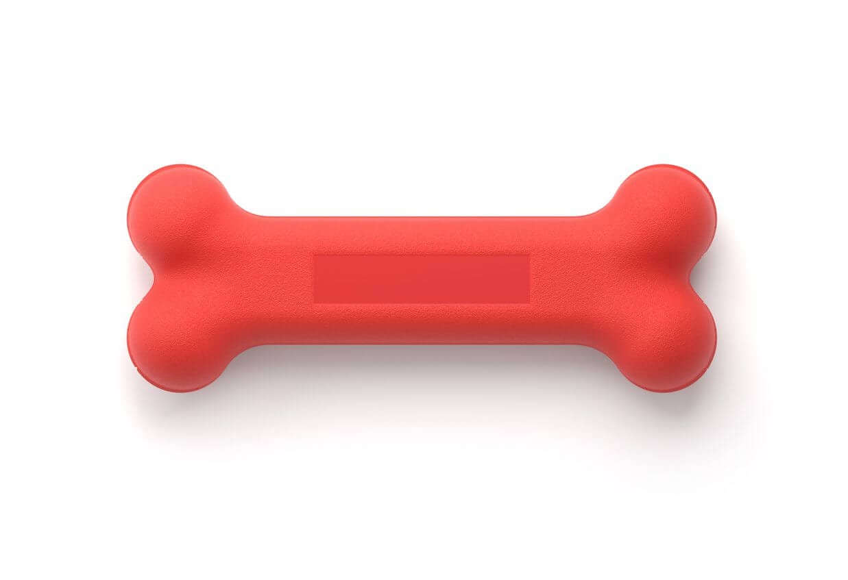 Wellness Wednesday – Bone Health